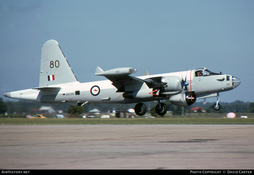 Aircraft Photo of A89-280 | Lockheed SP-2H Neptune MR4 | Australia - Air Force | AirHistory.net #401