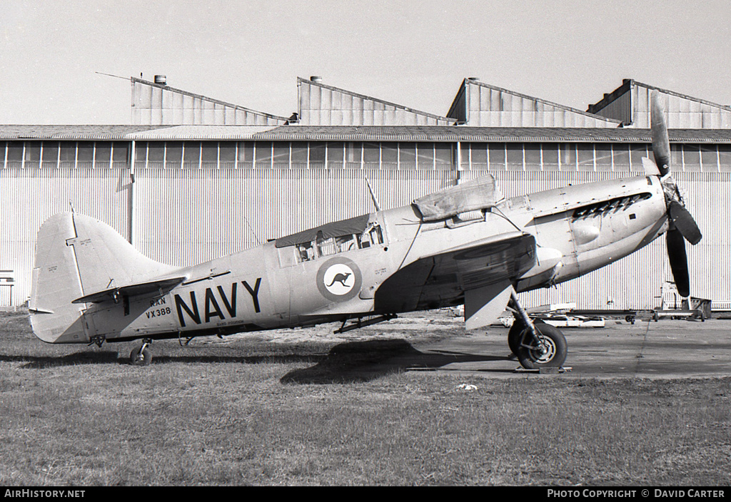 Aircraft Photo of VX388 | Fairey Firefly TT5 | Australia - Navy | AirHistory.net #712