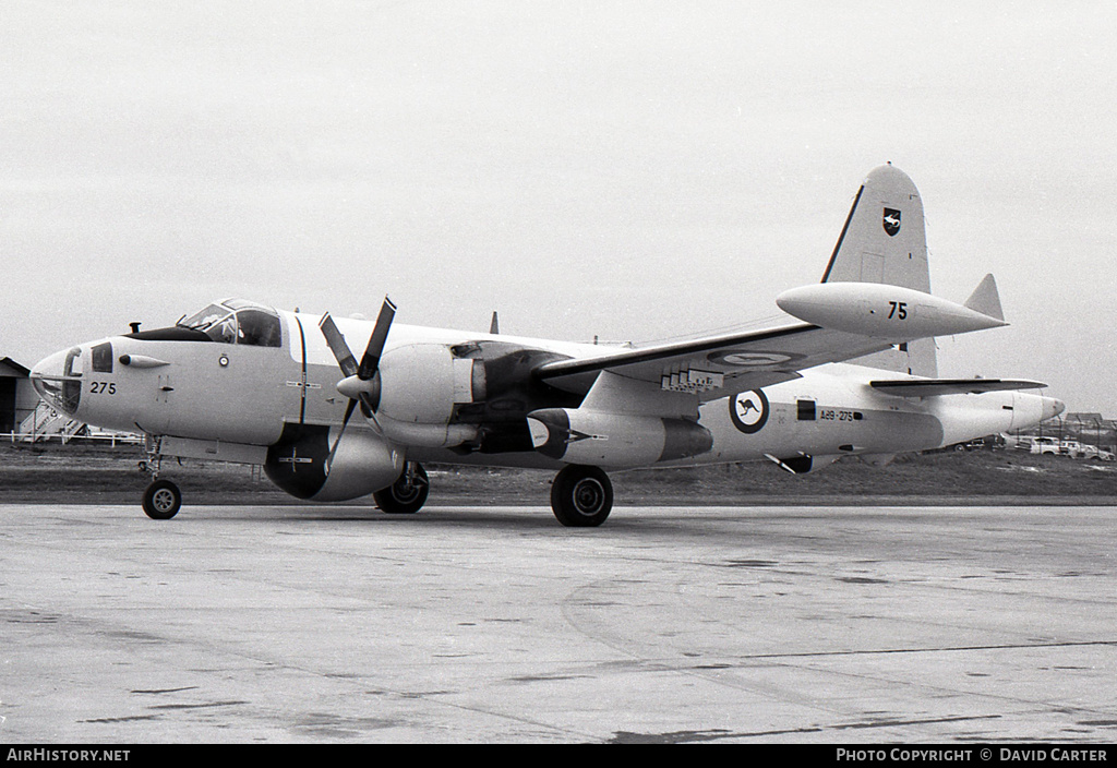 Aircraft Photo of A89-275 | Lockheed SP-2H Neptune MR4 | Australia - Air Force | AirHistory.net #1531