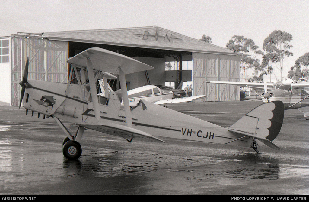 Aircraft Photo of VH-CJH | De Havilland D.H. 82A Tiger Moth | AirHistory.net #6520