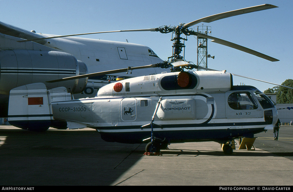 Aircraft Photo of CCCP-31000 | Kamov Ka-32A | Aeroflot | AirHistory.net #7134