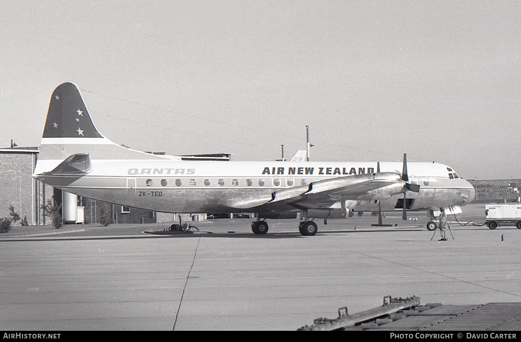 Aircraft Photo of ZK-TED | Lockheed L-188C Electra | Air New Zealand | AirHistory.net #7192