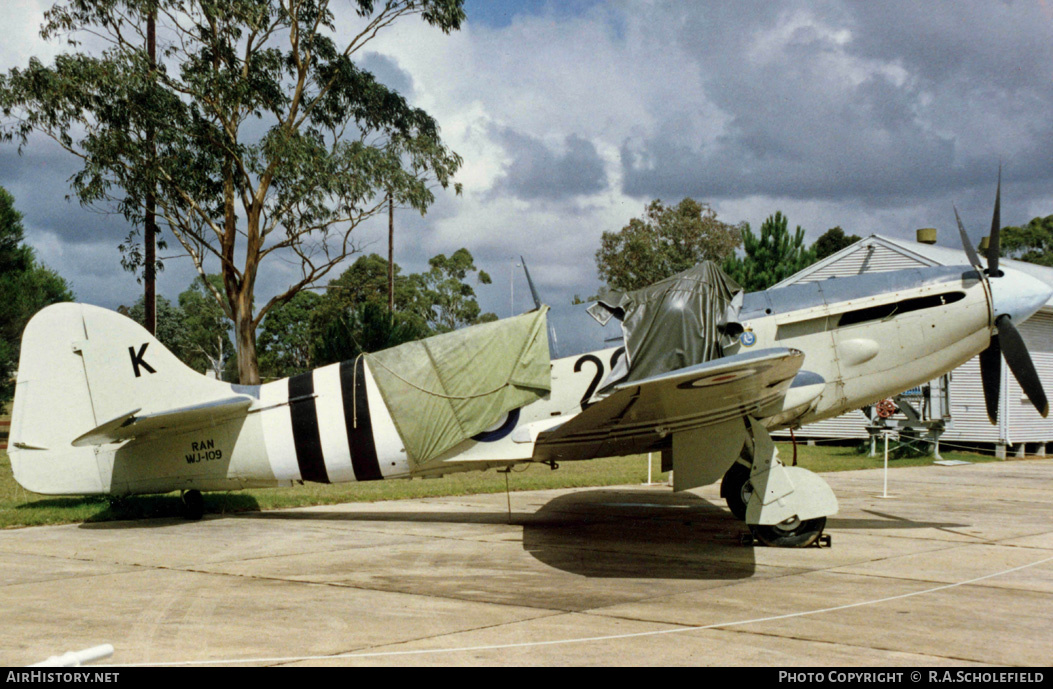 Aircraft Photo of WJ109 | Fairey Firefly AS6 | Australia - Navy | AirHistory.net #7848