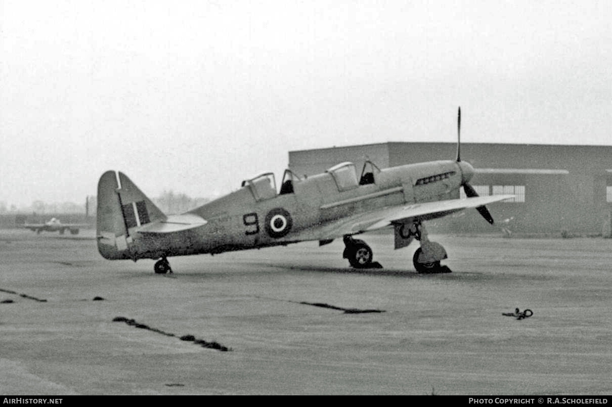 Aircraft Photo of Z1953 | Fairey Firefly T1 | UK - Air Force | AirHistory.net #7921