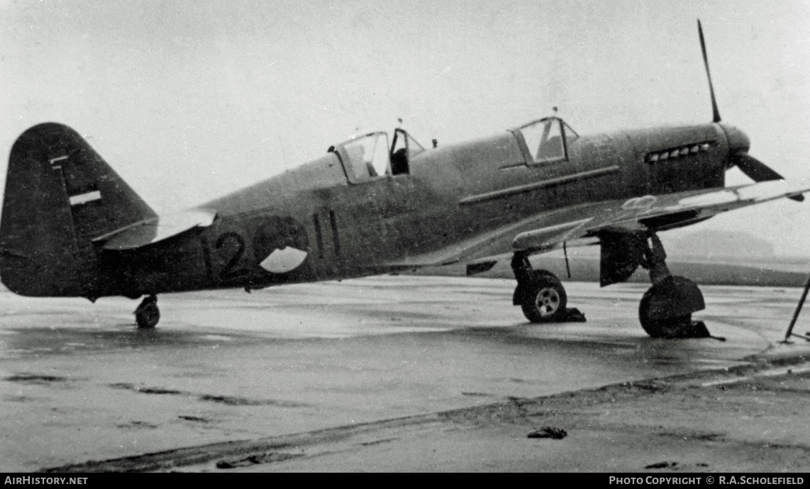 Aircraft Photo of 12-11 | Fairey Firefly T2 | Netherlands - Navy | AirHistory.net #8167