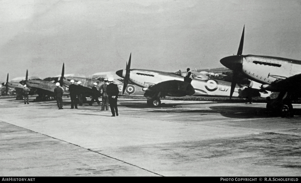 Aircraft Photo of SW992 | Supermarine 395 Seafire F17 | UK - Navy | AirHistory.net #8168