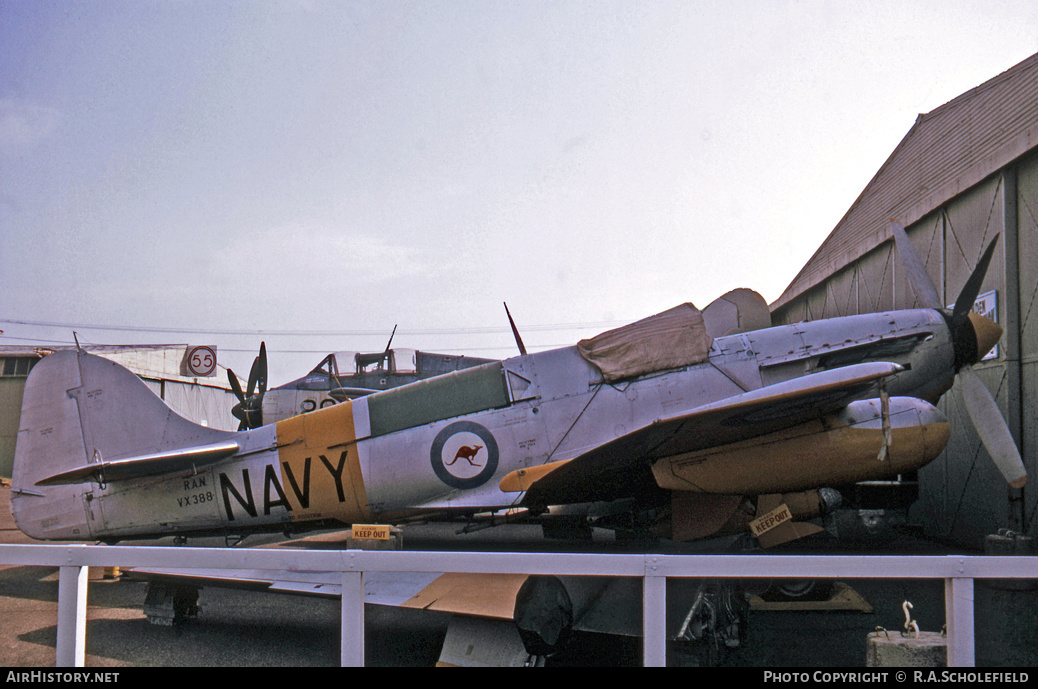 Aircraft Photo of VX388 | Fairey Firefly TT5 | Australia - Navy | AirHistory.net #8204