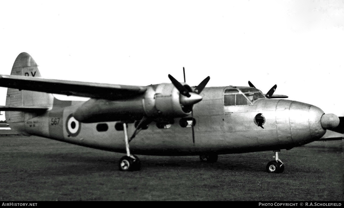 Aircraft Photo of WF118 | Percival P.57 Sea Prince T.1 | UK - Navy | AirHistory.net #8298