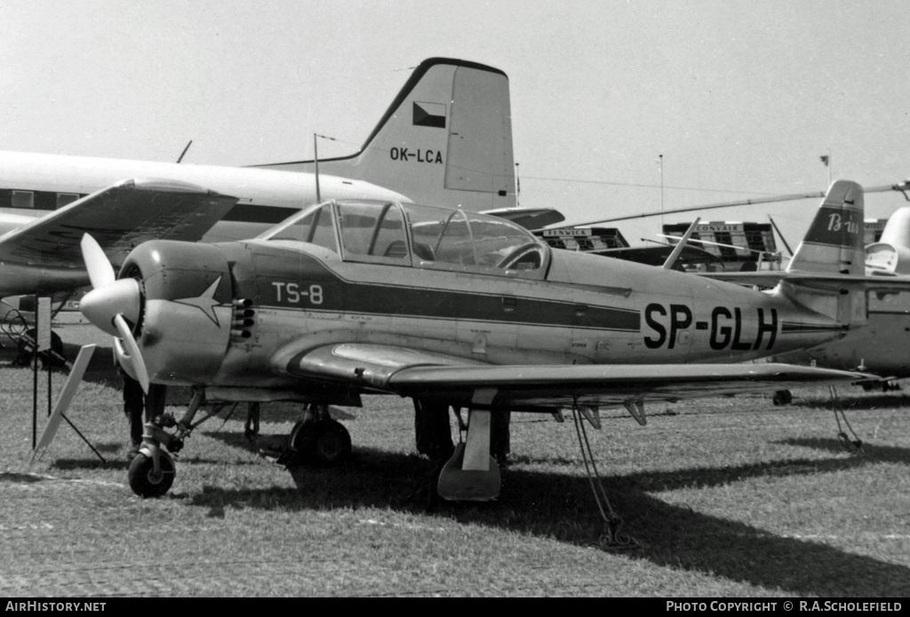 Aircraft Photo of SP-GLH | PZL-Mielec TS-8 Bies | AirHistory.net #8308