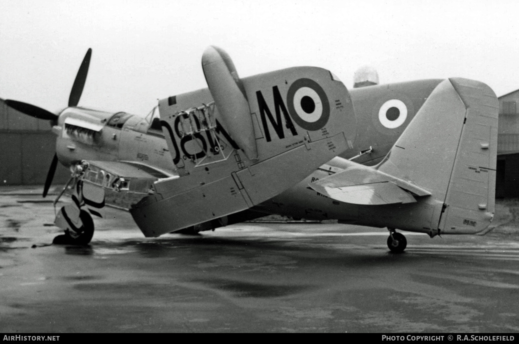 Aircraft Photo of WM800 | Fairey Firefly T7 | UK - Navy | AirHistory.net #8530
