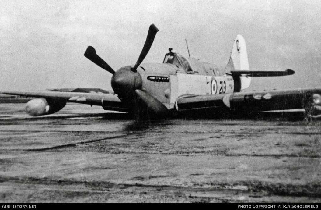 Aircraft Photo of WB410 | Fairey Firefly FR5 | UK - Navy | AirHistory.net #8754