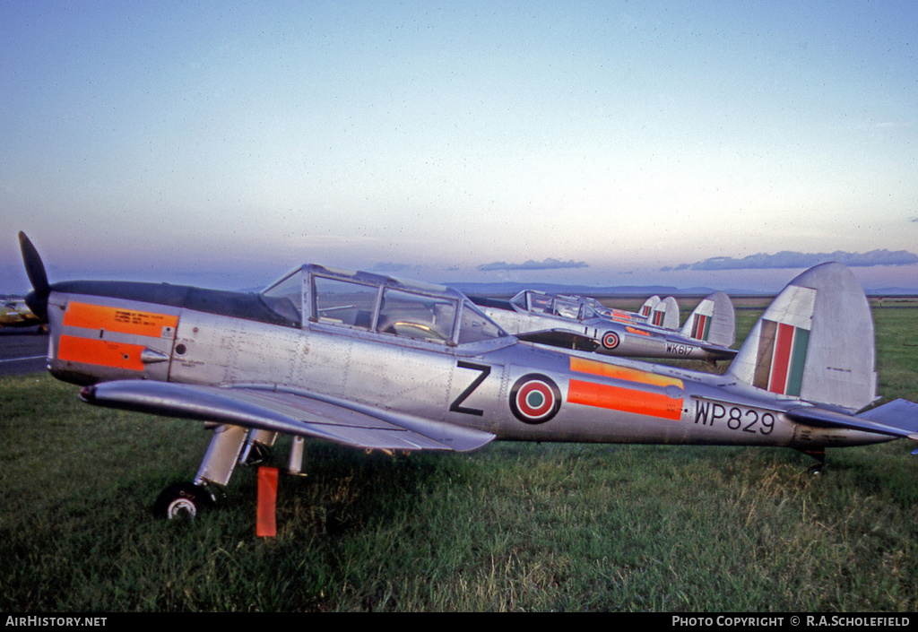 Aircraft Photo of WP829 | De Havilland DHC-1 Chipmunk T10 | Kenya - Air Force | AirHistory.net #9594