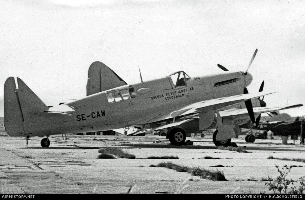 Aircraft Photo of SE-CAW | Fairey Firefly TT1 | Svensk Flygtjänst | AirHistory.net #9608