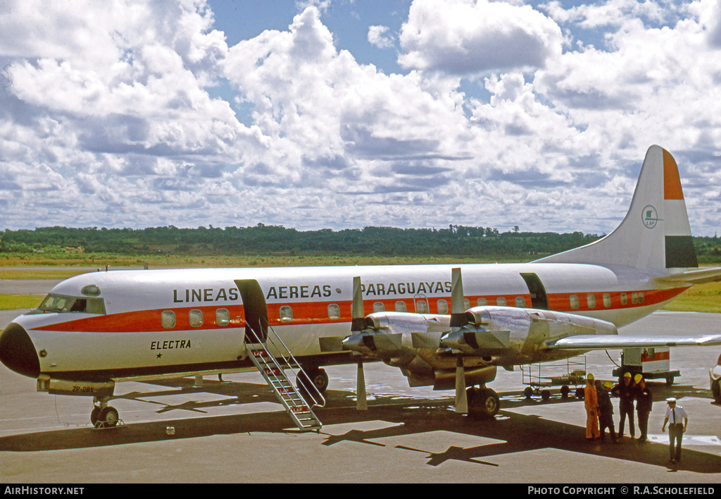 Aircraft Photo of ZP-CBX | Lockheed L-188A Electra | Líneas Aéreas Paraguayas - LAP | AirHistory.net #9968