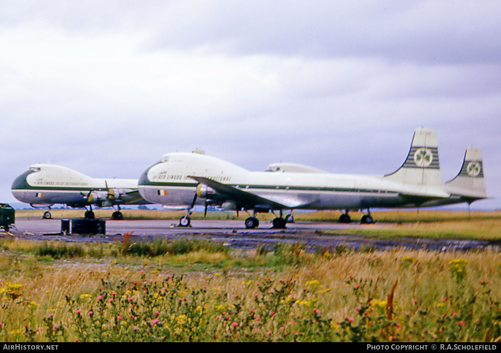 Aircraft Photo of EI-AMP | Aviation Traders ATL-98 Carvair | Aer Lingus - Irish International Airlines | AirHistory.net #10216