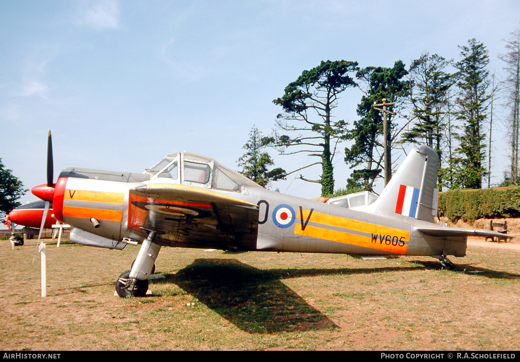 Aircraft Photo of WV605 | Percival P.56 Provost T1 | UK - Air Force | AirHistory.net #10321