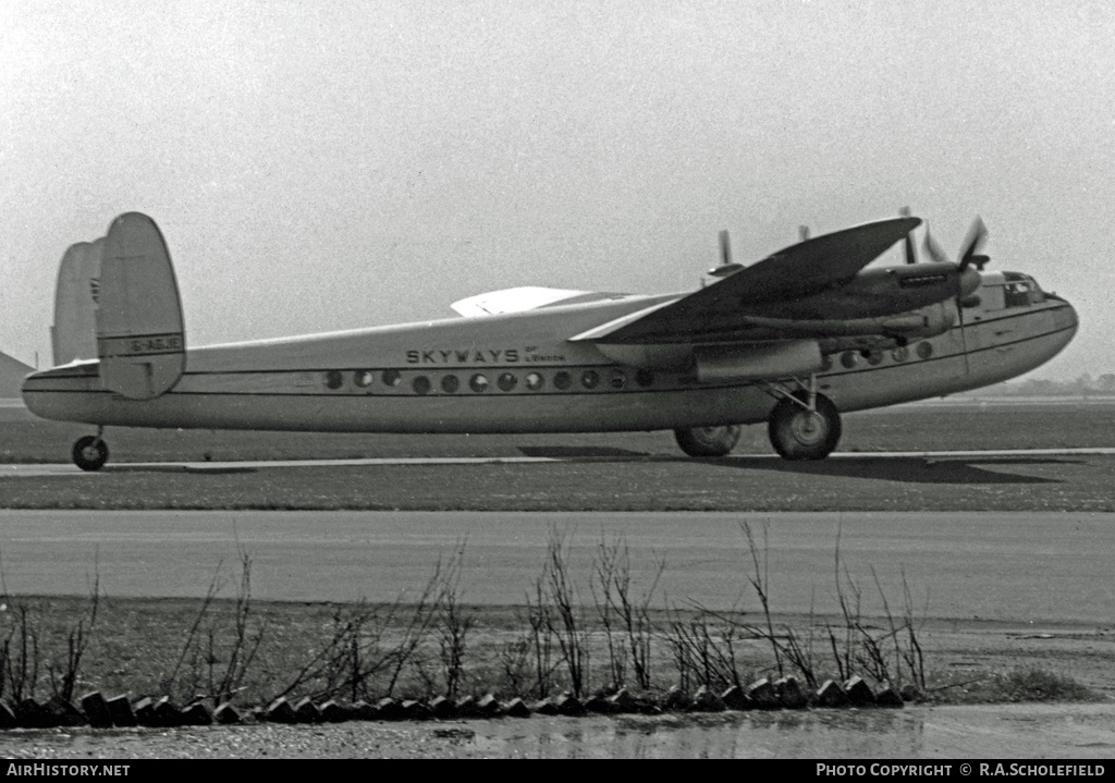 Aircraft Photo of G-AGJE | Avro 685 York | Skyways of London | AirHistory.net #10733