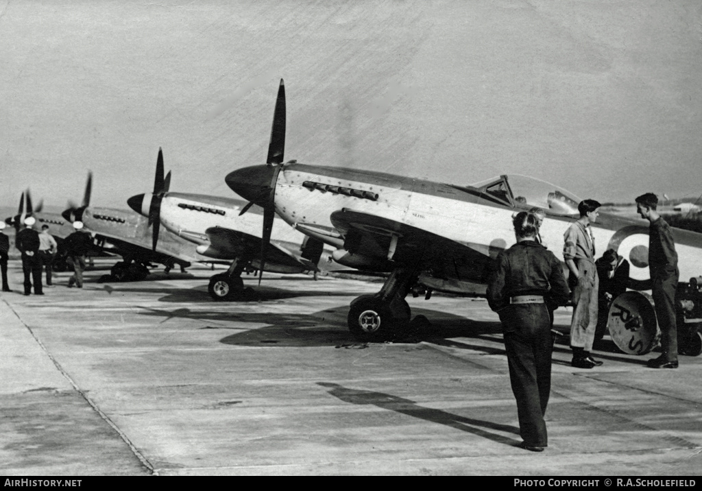 Aircraft Photo of SX*** | Supermarine 395 Seafire F17 | UK - Navy | AirHistory.net #10968