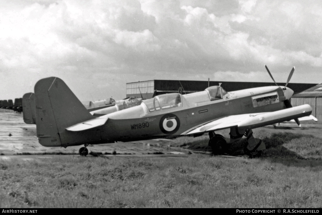 Aircraft Photo of WM890 | Fairey Firefly U8 | UK - Navy | AirHistory.net #11027