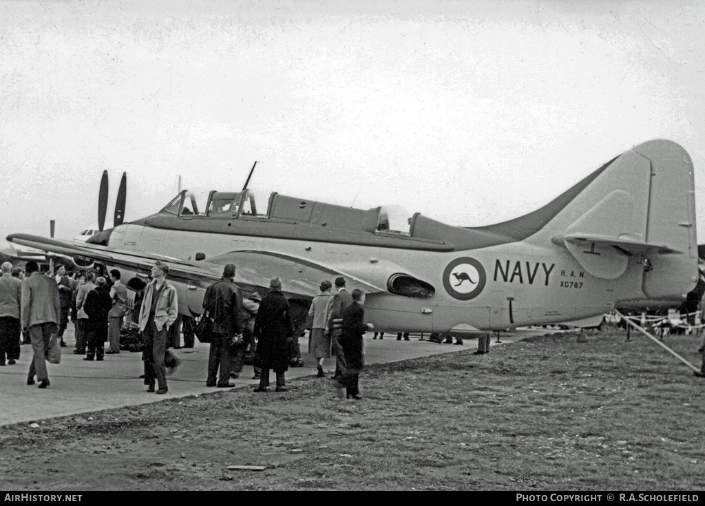 Aircraft Photo of XG787 | Fairey Gannet AS.1 | Australia - Navy | AirHistory.net #11156