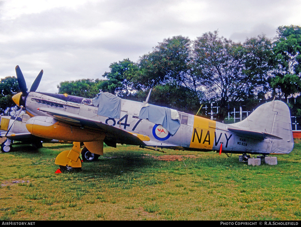 Aircraft Photo of WD828 | Fairey Firefly TT6 | Australia - Navy | AirHistory.net #11295