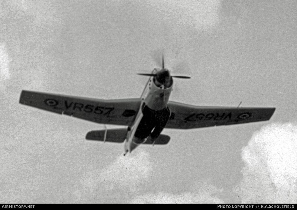 Aircraft Photo of VR557 | Fairey Gannet | AirHistory.net #11637