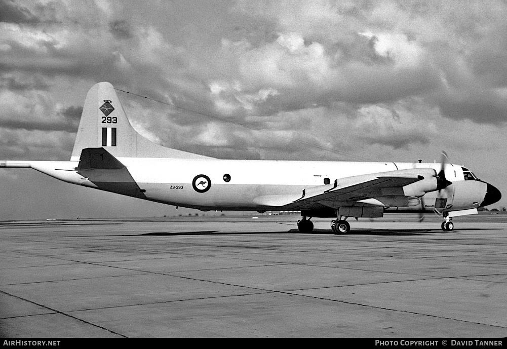Aircraft Photo of A9-293 | Lockheed P-3B Orion | Australia - Air Force | AirHistory.net #11754