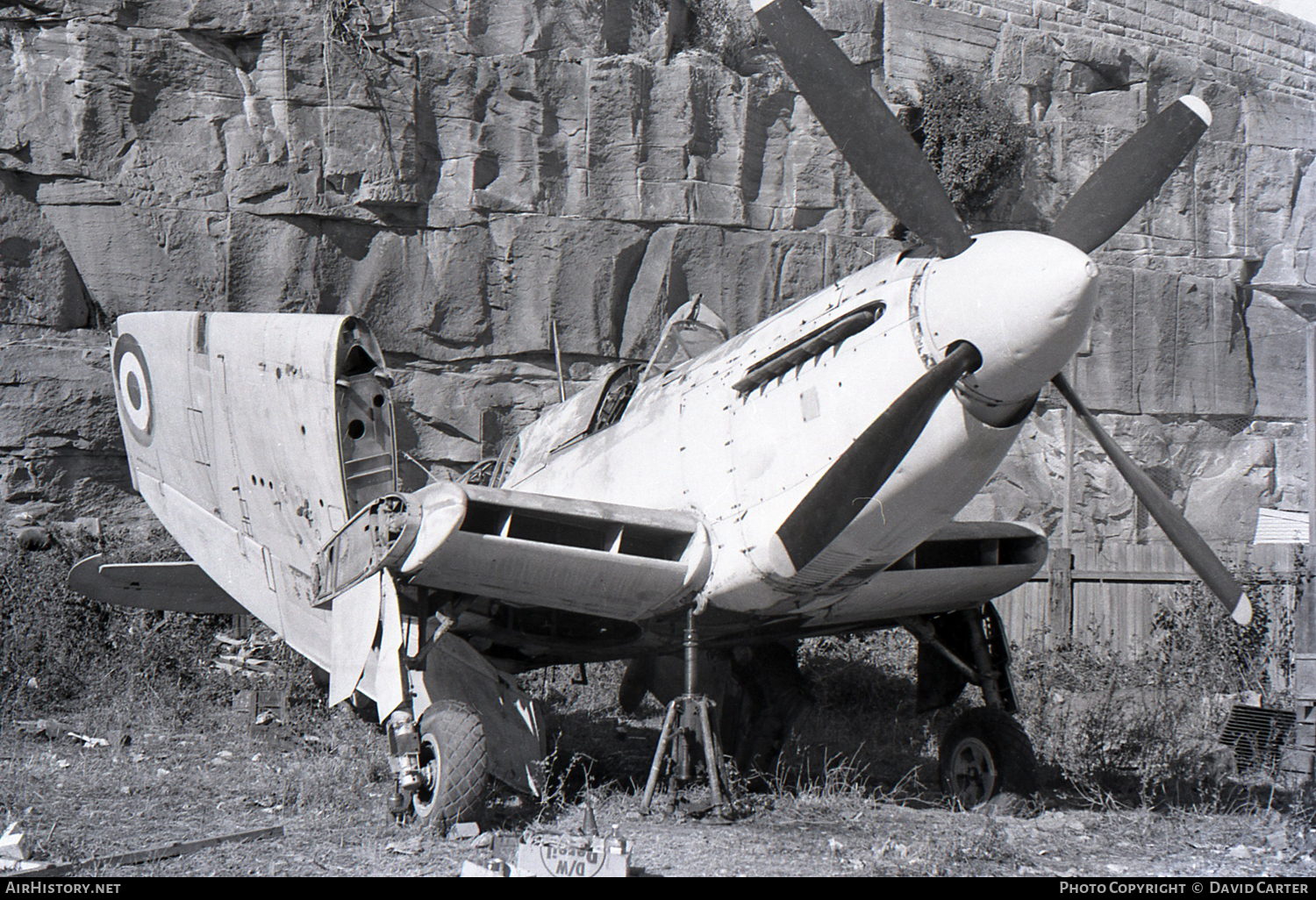 Aircraft Photo of WH632 | Fairey Firefly AS6 | Australia - Navy | AirHistory.net #12692