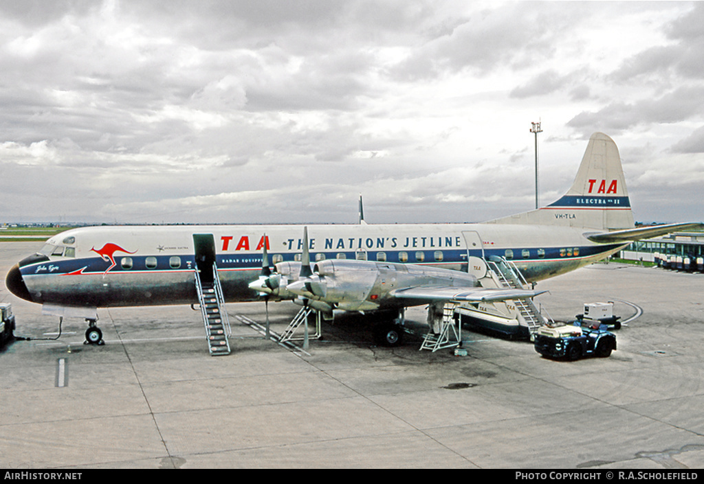 Aircraft Photo of VH-TLA | Lockheed L-188A Electra | Trans-Australia Airlines - TAA | AirHistory.net #13162