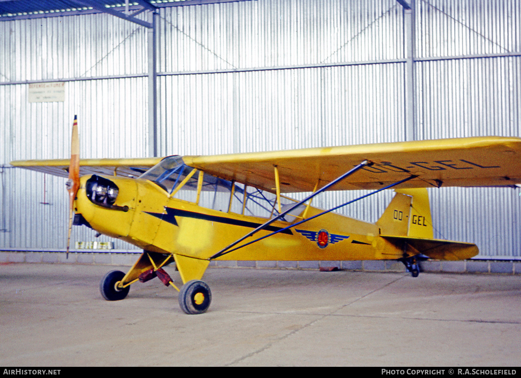 Aircraft Photo of OO-GEL | Piper L-4J Grasshopper (J-3C-65) | AirHistory.net #13303