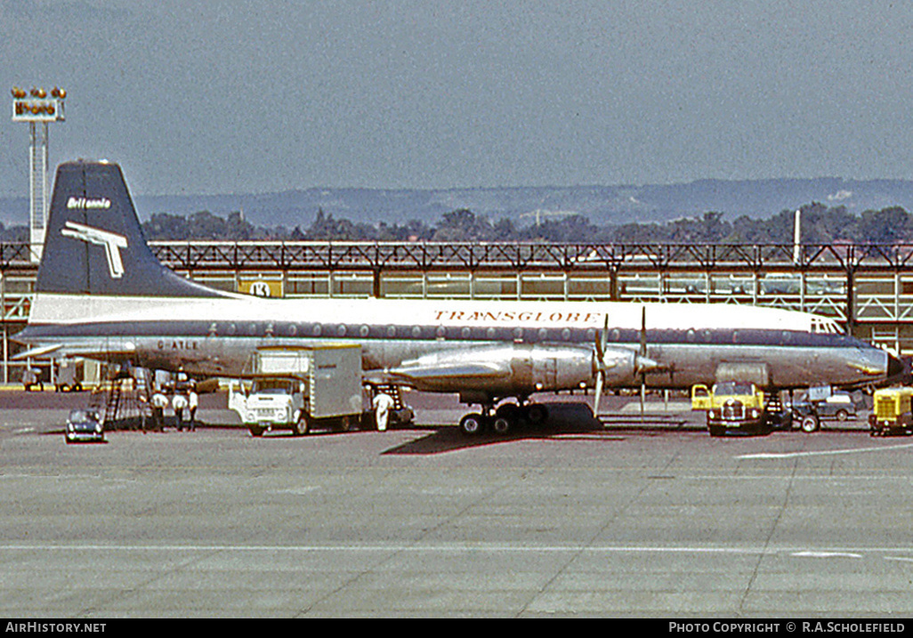 Aircraft Photo of G-ATLE | Bristol 175 Britannia 314 | Transglobe Airways | AirHistory.net #13688
