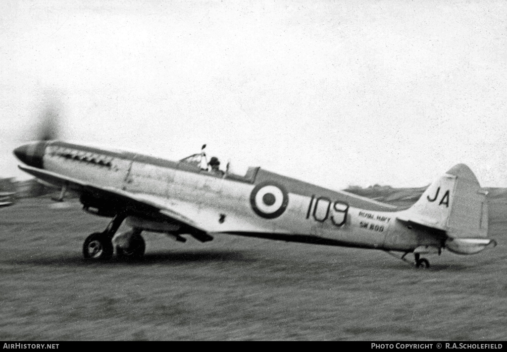 Aircraft Photo of SW800 | Supermarine 377 Seafire F15 | UK - Navy | AirHistory.net #13713