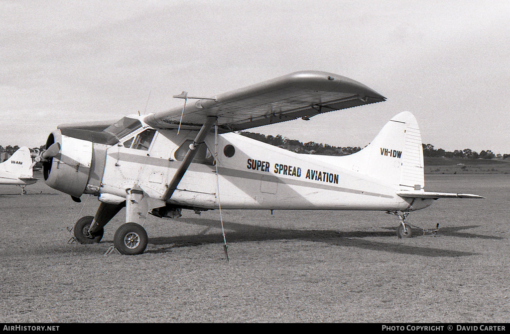 Aircraft Photo of VH-IDW | De Havilland Canada DHC-2 Beaver Mk.1 | Super Spread Aviation | AirHistory.net #14478