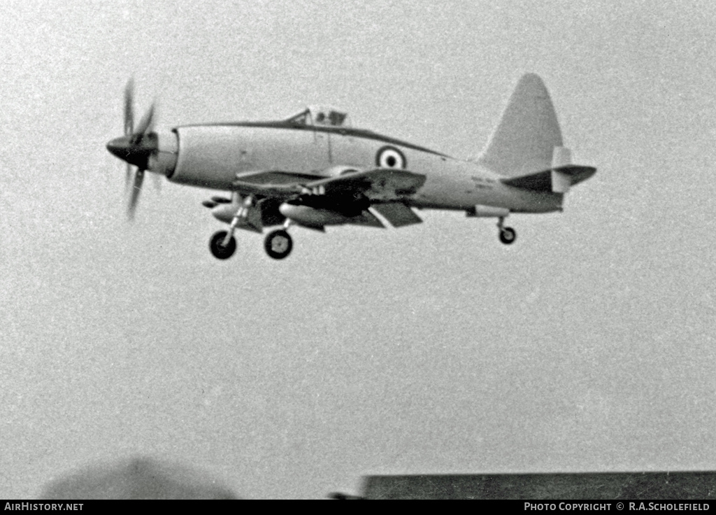 Aircraft Photo of VW870 | Westland Wyvern TF2 | Westland Aircraft | AirHistory.net #14498