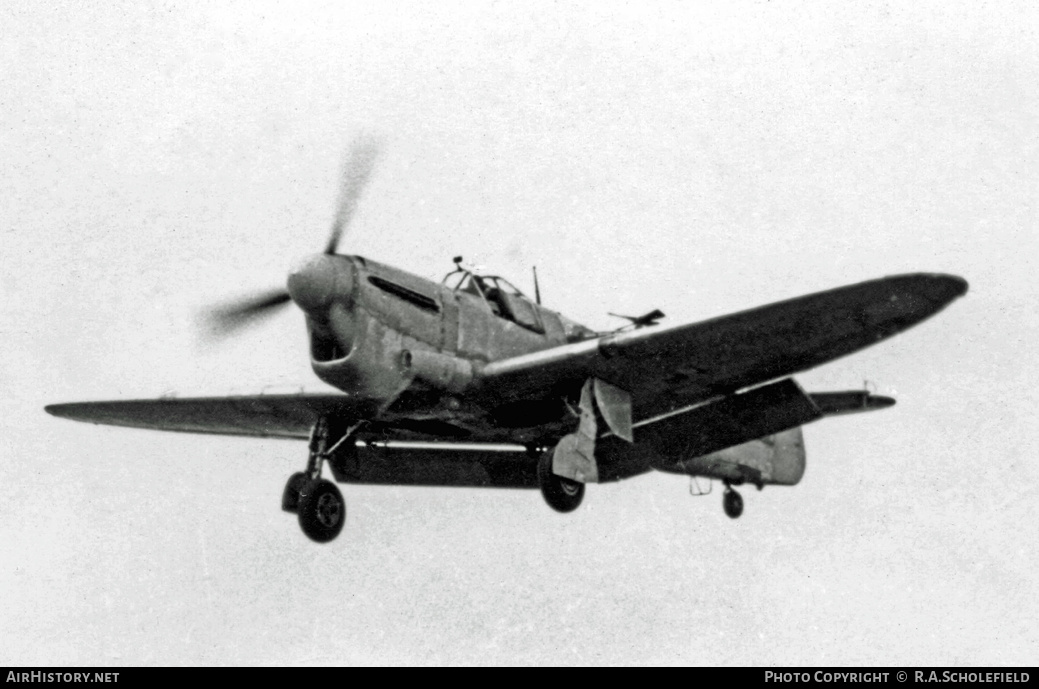 Aircraft Photo of MB702 | Fairey Firefly TT1 | UK - Air Force | AirHistory.net #15129