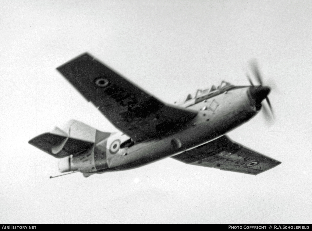 Aircraft Photo of WN365 | Fairey Gannet T.2 | UK - Navy | AirHistory.net #15594