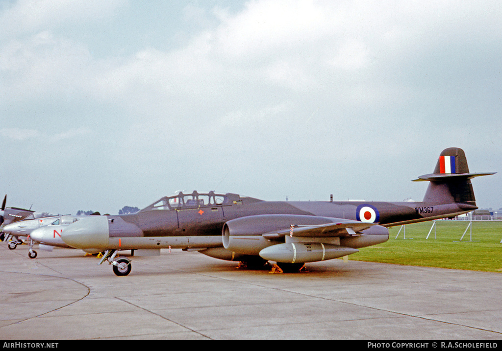 Aircraft Photo of WM367 | Gloster Meteor NF13 | UK - Air Force | AirHistory.net #15603
