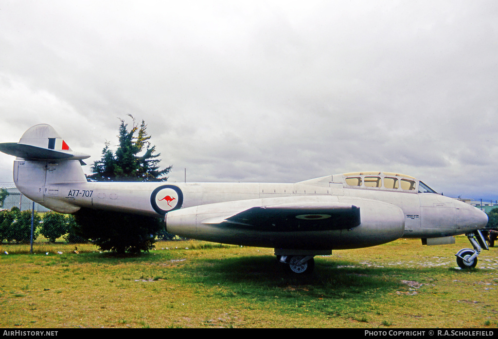 Aircraft Photo of A77-707 | Gloster Meteor T7 | Australia - Air Force | AirHistory.net #17164