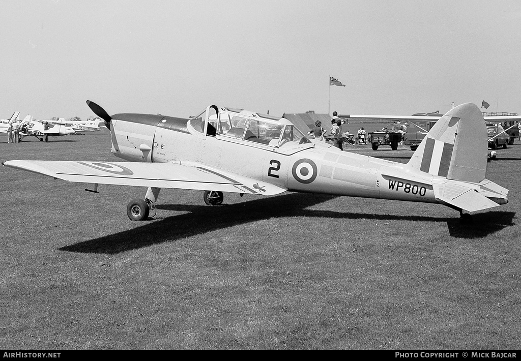 Aircraft Photo of G-BCXN / WP800 | De Havilland Canada DHC-1 Chipmunk Mk22 | UK - Air Force | AirHistory.net #17874