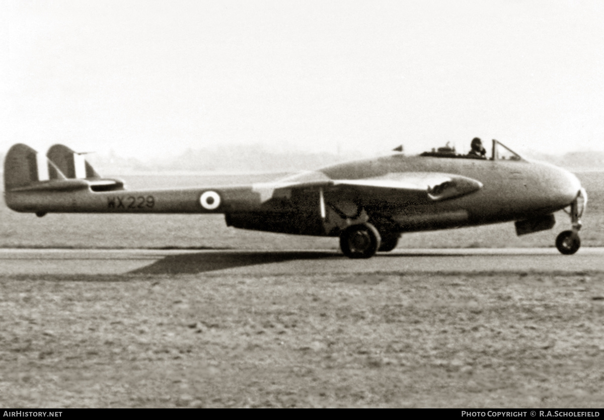 Aircraft Photo of WX229 | De Havilland D.H. 100 Vampire FB9 | UK - Air Force | AirHistory.net #18020