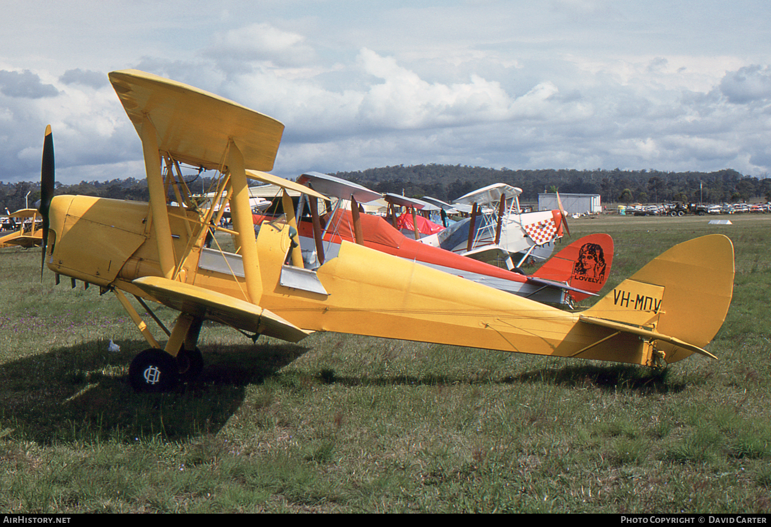 Aircraft Photo of VH-MDV | De Havilland D.H. 82A Tiger Moth | AirHistory.net #18560