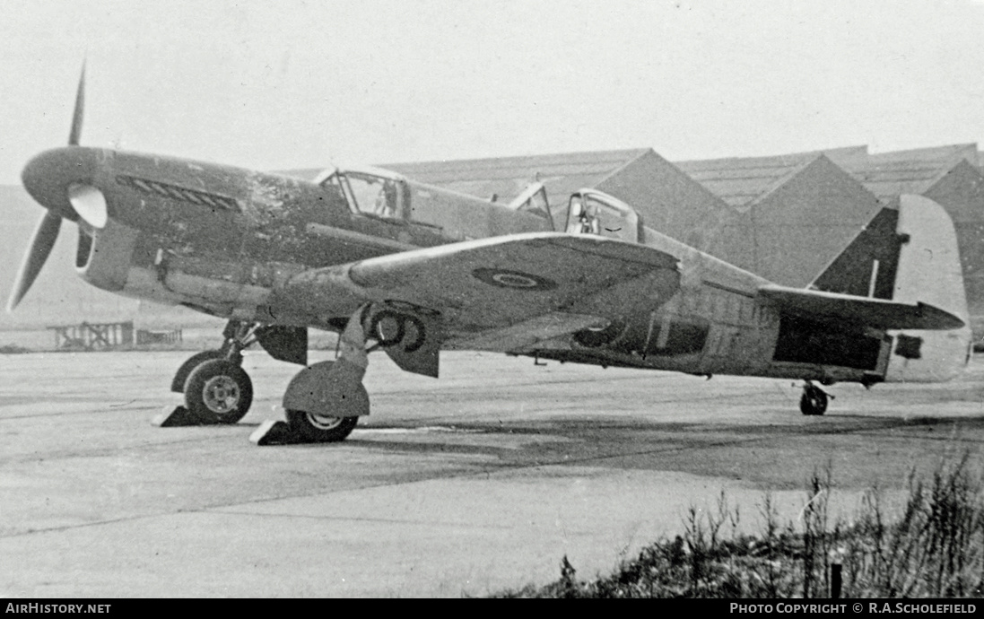 Aircraft Photo of Z1866 | Fairey Firefly T1 | UK - Navy | AirHistory.net #18601