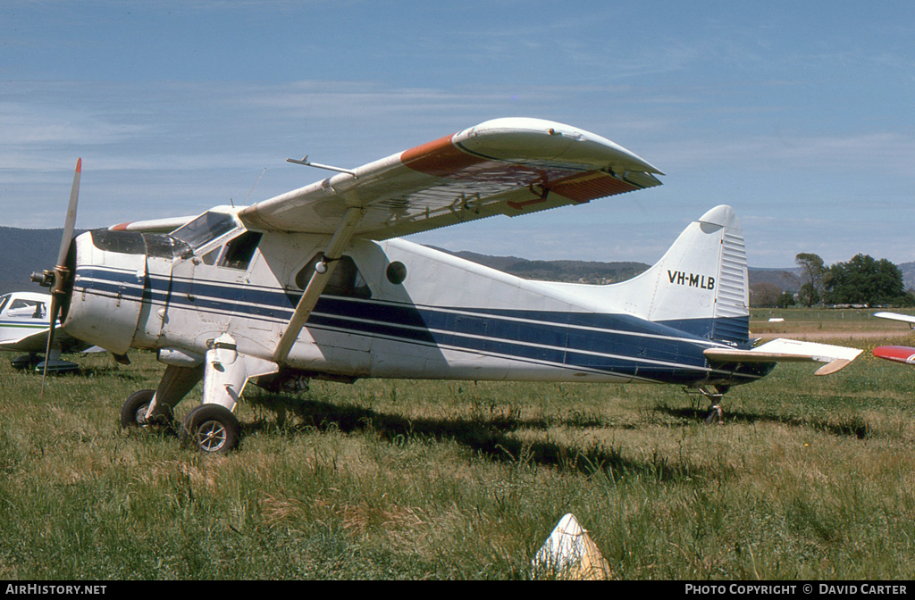 Aircraft Photo of VH-MLB | De Havilland Canada DHC-2 Beaver Mk.1 | AirHistory.net #18999