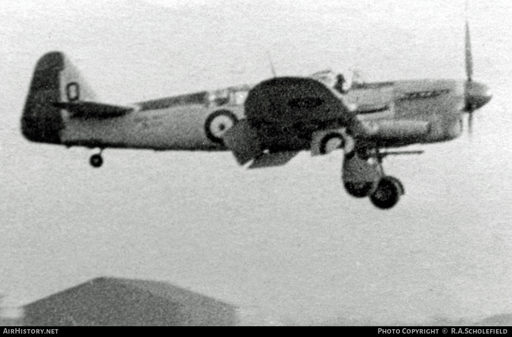 Aircraft Photo of DK559 | Fairey Firefly FR1 | UK - Navy | AirHistory.net #20468