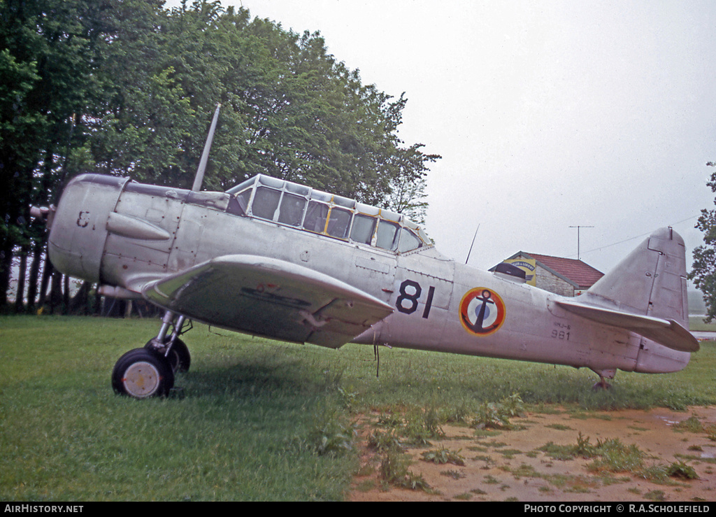 Aircraft Photo of 43981 | North American SNJ-5 Texan | France - Navy | AirHistory.net #23393