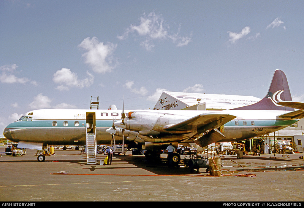 Aircraft Photo of N836E | Lockheed L-188C Electra | Nomads Travel Club | AirHistory.net #23627