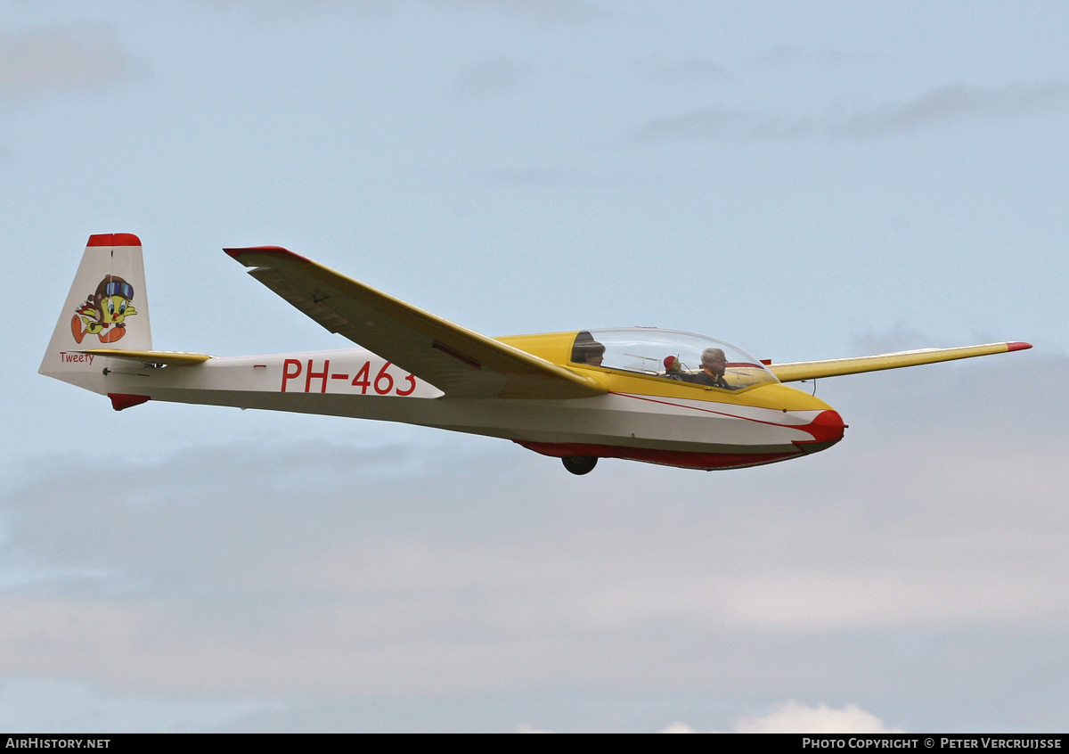 Aircraft Photo of PH-463 | Schleicher ASK-13 | AirHistory.net #23855