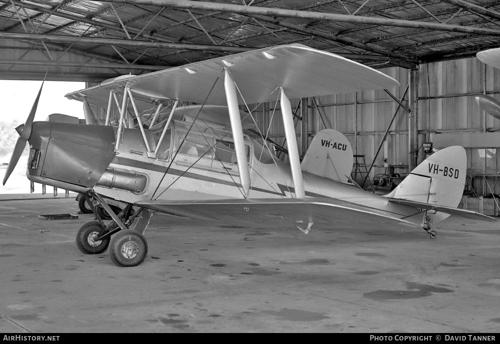 Aircraft Photo of VH-BSD | De Havilland D.H. 82A Tiger Moth | AirHistory.net #23924