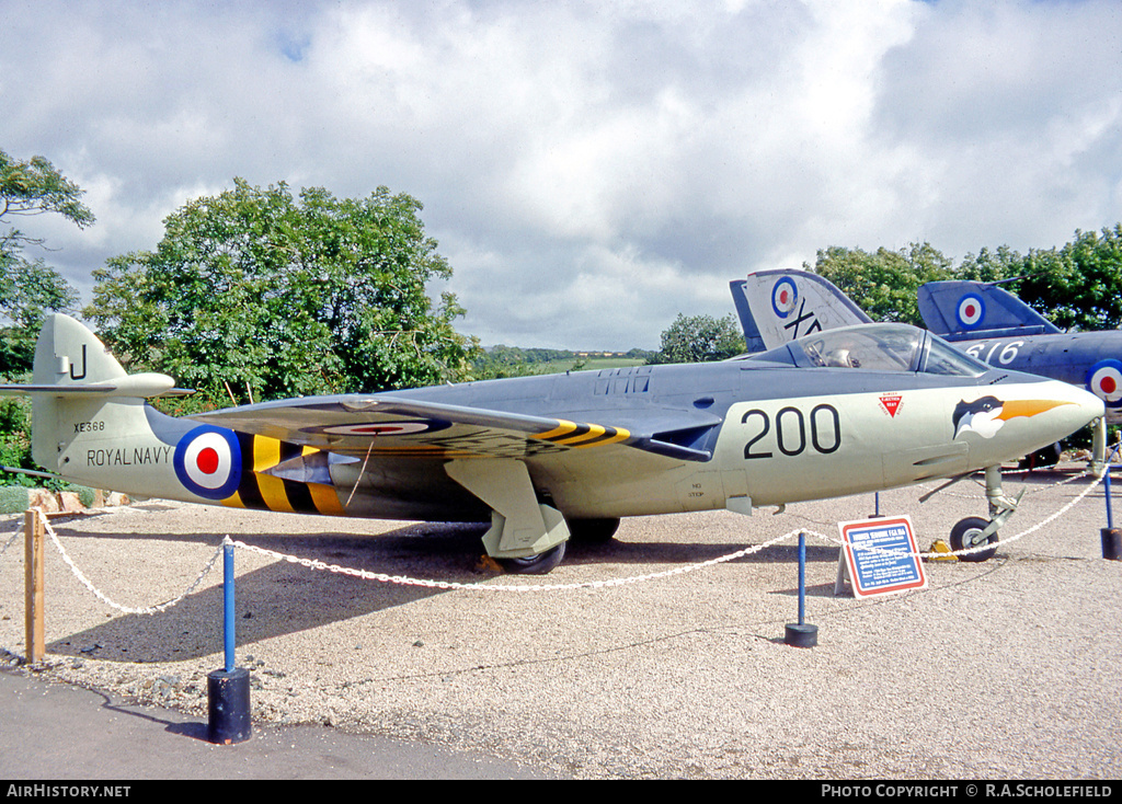 Aircraft Photo of XE368 | Hawker Sea Hawk FGA6 | UK - Navy | AirHistory.net #24925