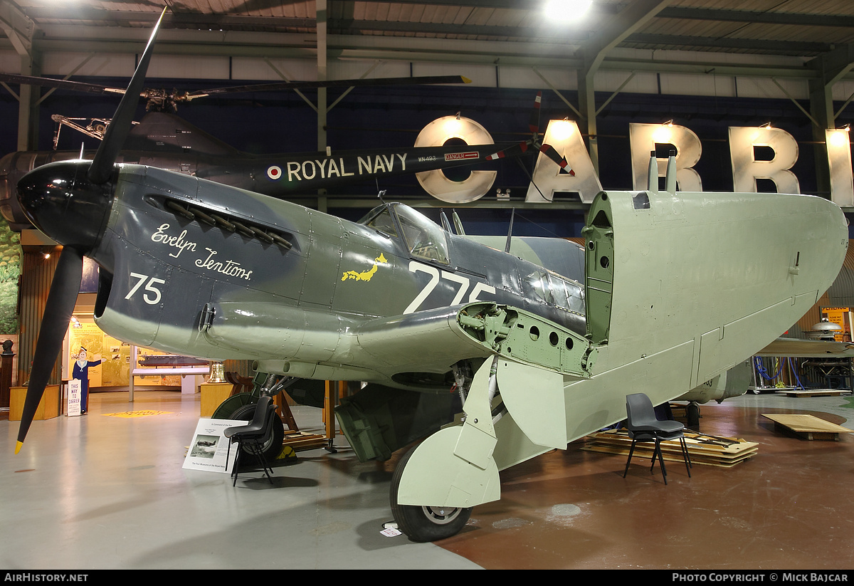 Aircraft Photo of Z2033 | Fairey Firefly TT1 | UK - Navy | AirHistory.net #27321